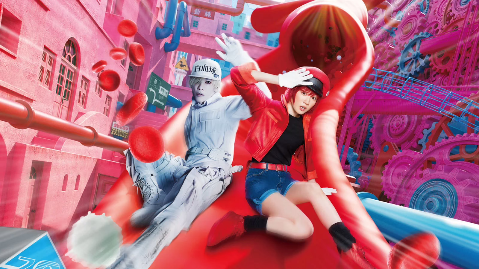 Cells At Work Live Action